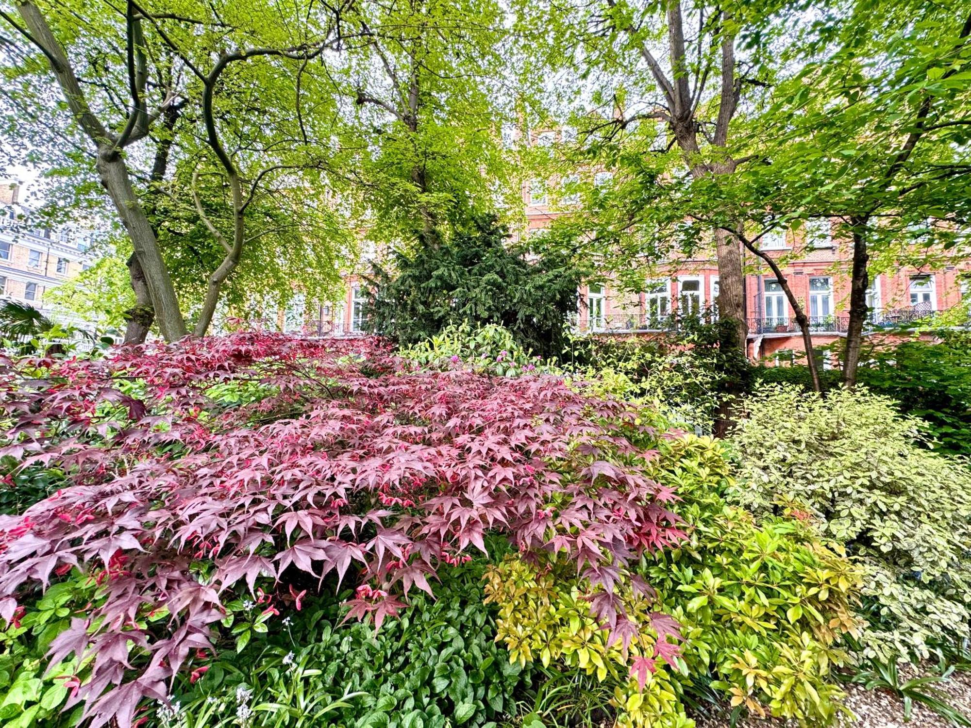 2 Bedroom Apartment In Central London South Kensington By Wild London Exterior foto